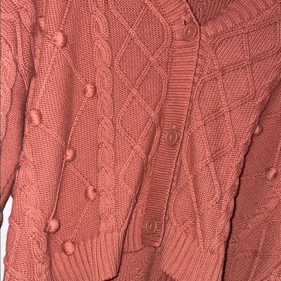 Forever 21 Rust Cropped Cardigan Sweater - Picture 3 of 4